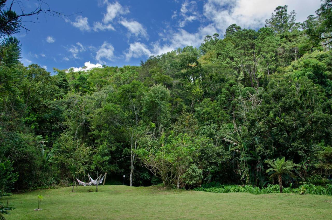 Colher De Cha -